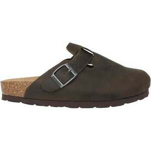 Klumpák Rohde Alba kép