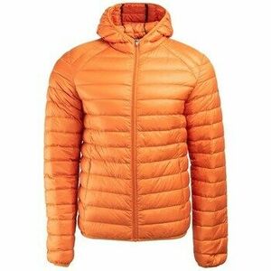 Dzsekik JOTT Nico kép