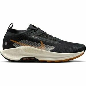 Futócipők Nike Pegasus kép