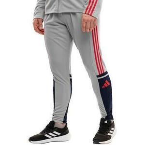 Futónadrágok / Melegítők adidas Pantalon Squadra 25 Multicolore kép