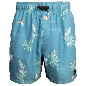 Rövidnadrágok Rip Curl Short Rip Curl Pajarito Volley Bleu kép
