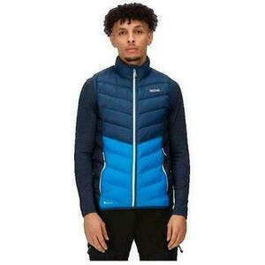 Kabátok Regatta Gilet Harrock bleu kép