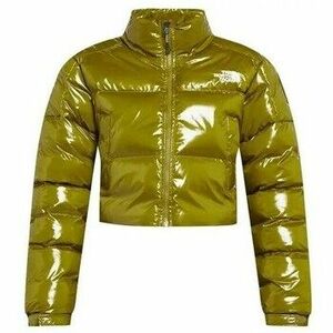 Steppelt kabátok The North Face Rusta 2.0 kép