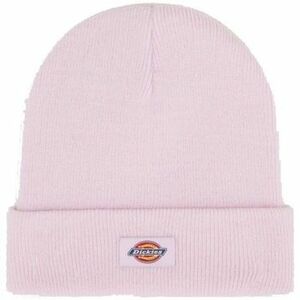 Sapkák Dickies GIBSLAND kép