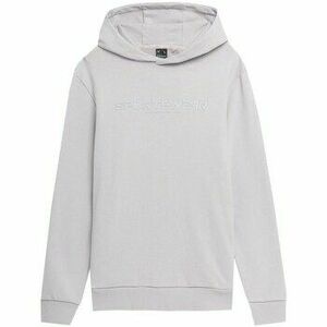 Pulóverek 4F TSWSM266 kép