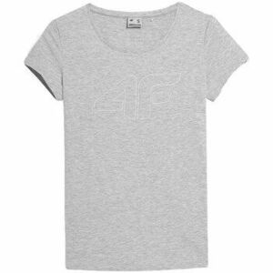 Rövid ujjú pólók 4F SS23TTSHF583CHODNYJASNYSZARYMELAN kép