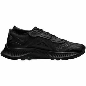 Multisport Nike Pegasus 3 Gtx kép