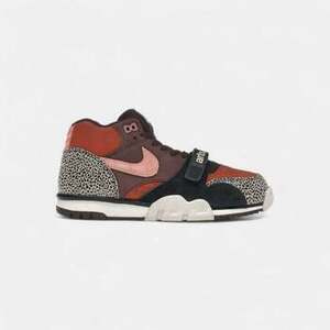 Rövid szárú edzőcipők Nike SB Air Trainer 1 Arts-Rec Limestone kép