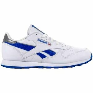 Divat edzőcipők Reebok Sport Cl Reflect kép