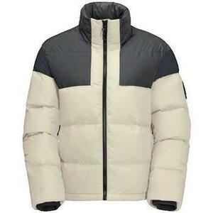 Kabátok Jack Wolfskin Doudoune Jack Wolfskin 365 Fearless Down Jkt W kép