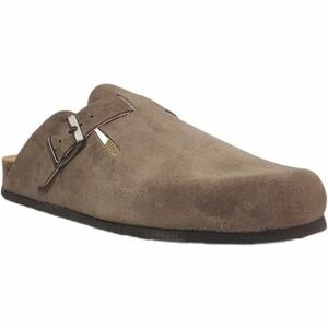 Klumpák Plakton Blog kép