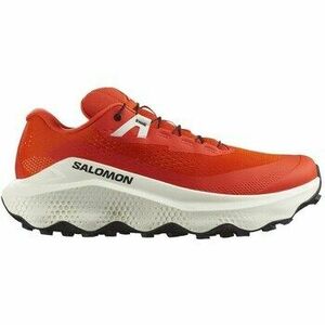 Trail Salomon 477559 kép