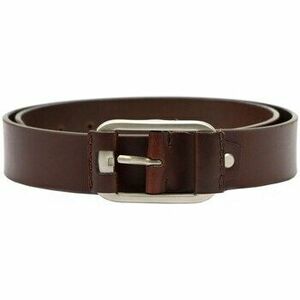 Övek El Forrest greg47277 kép