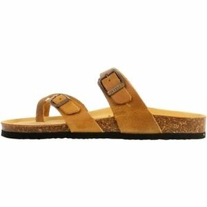 Papucsok Plakton 279214 kép