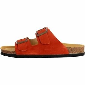 Papucsok Plakton 278915 kép