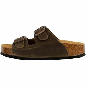 Papucsok Plakton 278863 kép