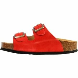Papucsok Plakton 278935 kép