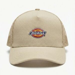 Baseball sapkák Dickies Gorras Hombre Modèle Dk0a4yv3l441 kép