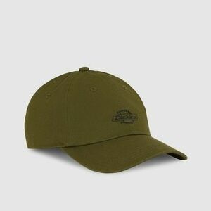 Baseball sapkák Dickies Gorras Hombre Modèle Dk0a4z6nk721 kép