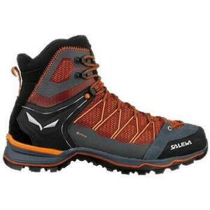 Túracipők Salewa Mountain Lite Goretex kép
