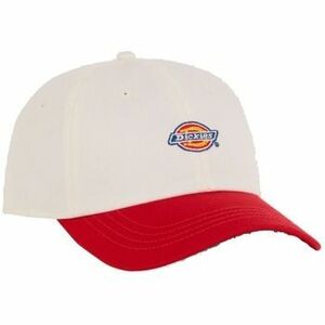 Baseball sapkák Dickies Gorras Hombre Modèle Hardwick 2 Tone Egret kép