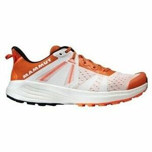 Trail Mammut Saentis Tr Low kép