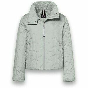 Dzsekik District Marigold kép