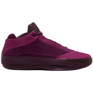 Kosárlabda Nike Jordan 40 Bordeaux kép