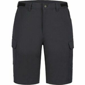 Rövidnadrágok Icepeak Braswell kép