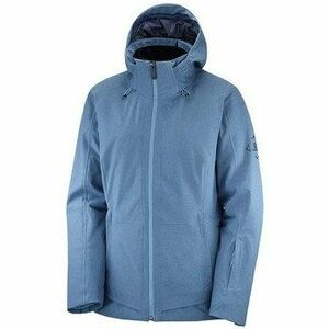 Kabátok Salomon Arctic kép