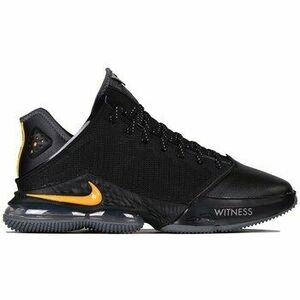 Kosárlabda Nike Lebron 19 kép