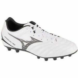 Mizuno kép