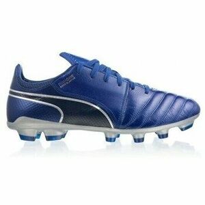 Foci Puma 10498304 kép