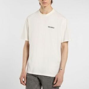 Rövid ujjú pólók Dickies Burns Tee kép