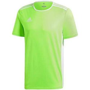 Fürdőruhák adidas Entrada 18 kép
