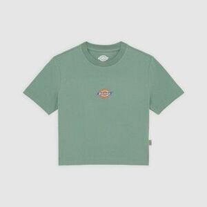 Rövid ujjú pólók Dickies Maple kép
