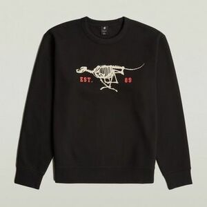 Pulóverek G-Star Raw Running Dog Back Gr R S kép