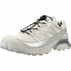 Multisport Salomon Xt Pathway Gtx kép