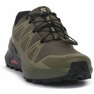 Alsóváros Salomon L47948700 kép