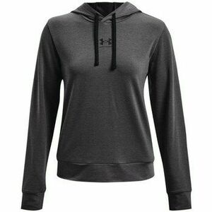 Kapucnis pulóverek Under Armour Rival Terry Hoodie kép