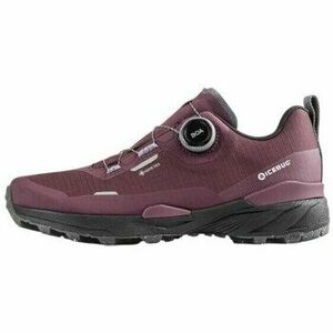 Trail Icebug Rover 2 RB9X GTX kép