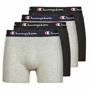 Boxerek Champion BOXER X4 kép