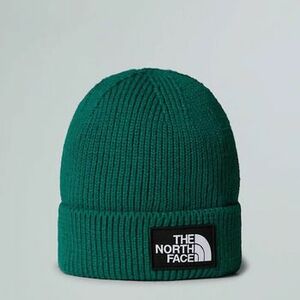 Sapkák The North Face NF0A8CHE kép