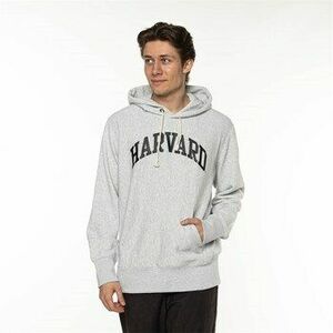 Kapucnis pulóverek Champion Harvard kép
