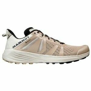 Trail Mammut Saentis Tr Low Gtx kép
