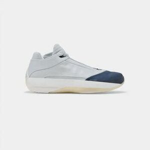 Divat edzőcipők Nike Jordan 40 Wolf Grey kép