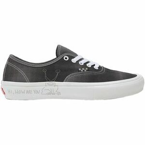 Divat edzőcipők Vans Baskets Skate Authentic daim kép