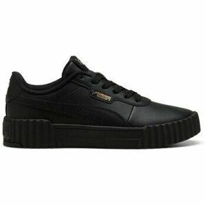 Alsóváros Puma Carina 3.0 kép