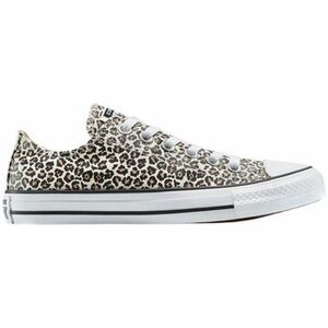 Divat edzőcipők Converse Baskets Chuck Taylor All Star Hi motif animalier kép