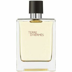 Eau de toilette Hermès Paris Terre d' Eau de Toilette 100 ml kép